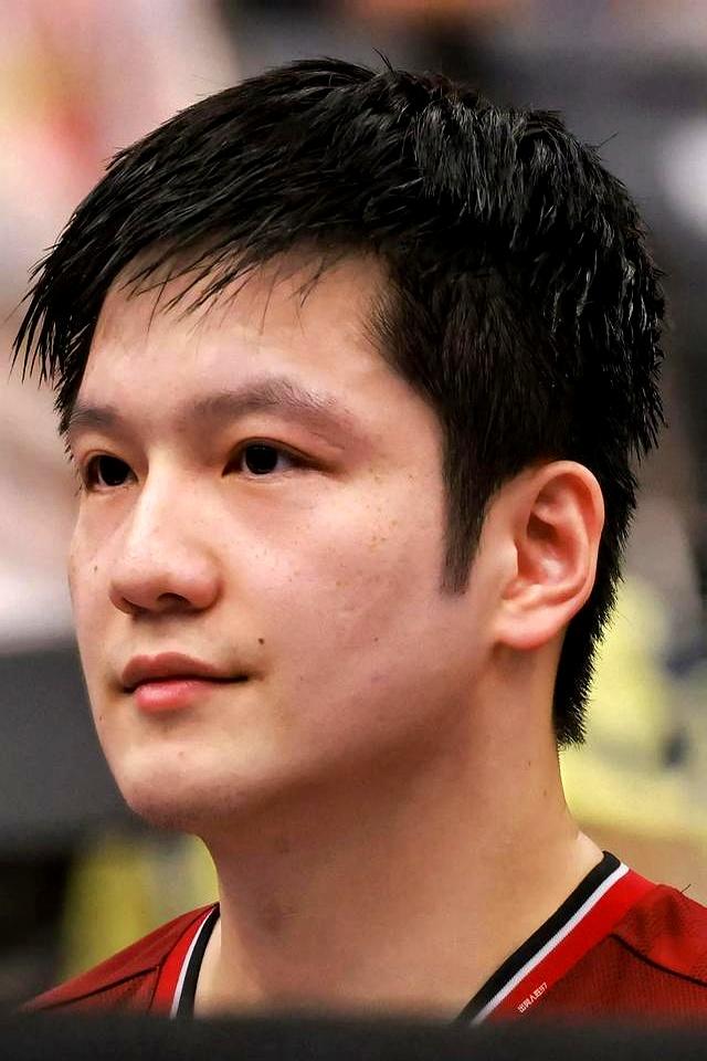 英国乒乓球队绝杀比利时乒乓球队，樊振东制霸全场的简单介绍