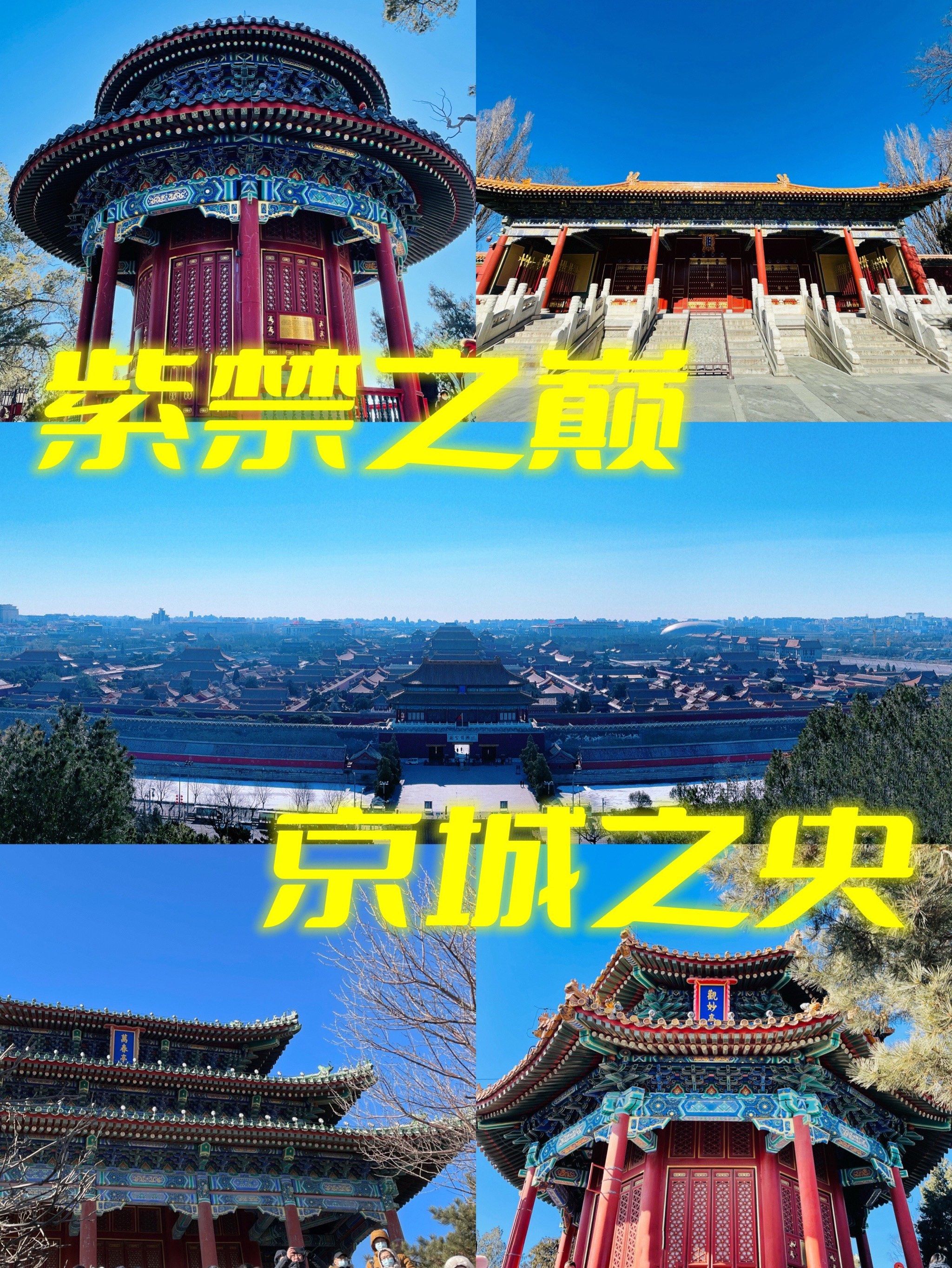 关于江苏宝狮队实力过人，再次登上胜利之巅的信息